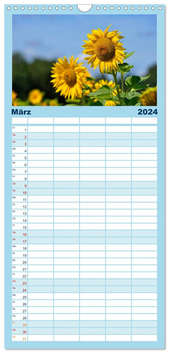 Sonnenblumen 2024 (CALVENDO Familienplaner 2024)