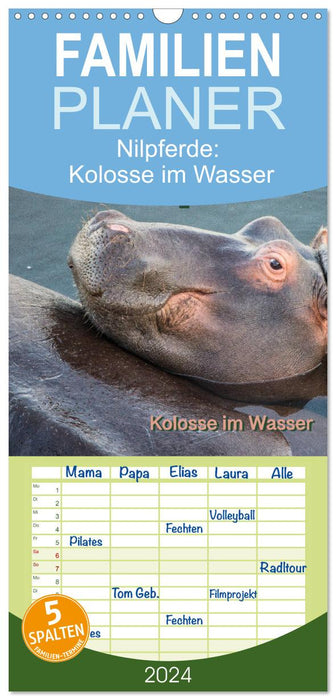 Nilpferde, Kolosse im Wasser (CALVENDO Familienplaner 2024)
