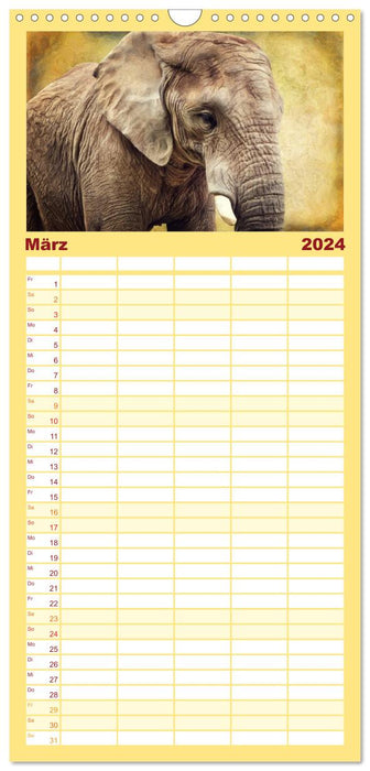 Éléphants - des portraits d'un genre particulier (Agenda familial CALVENDO 2024) 