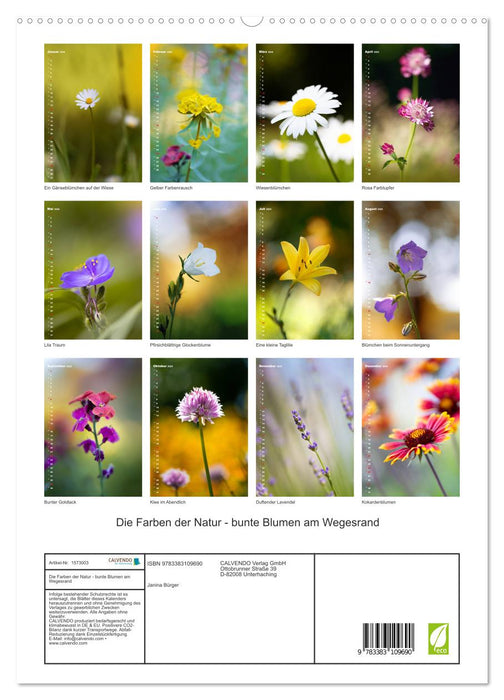 Colors of Nature (CALVENDO Premium Wandkalender 2024)