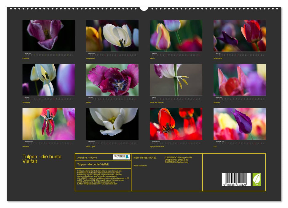 Tulips - the colorful variety (CALVENDO Premium Wall Calendar 2024) 