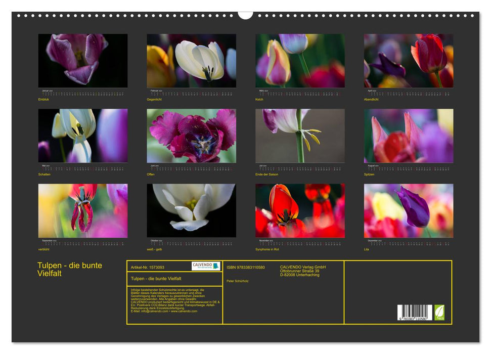 Tulpen - die bunte Vielfalt (CALVENDO Wandkalender 2024)