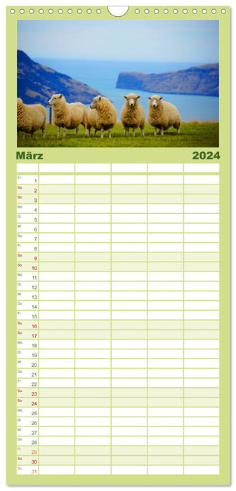 Mouton (Agenda familial CALVENDO 2024) 