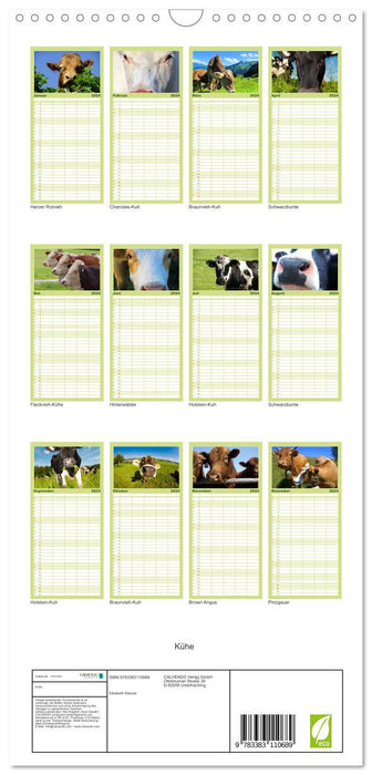 Vaches (Agenda familial CALVENDO 2024) 