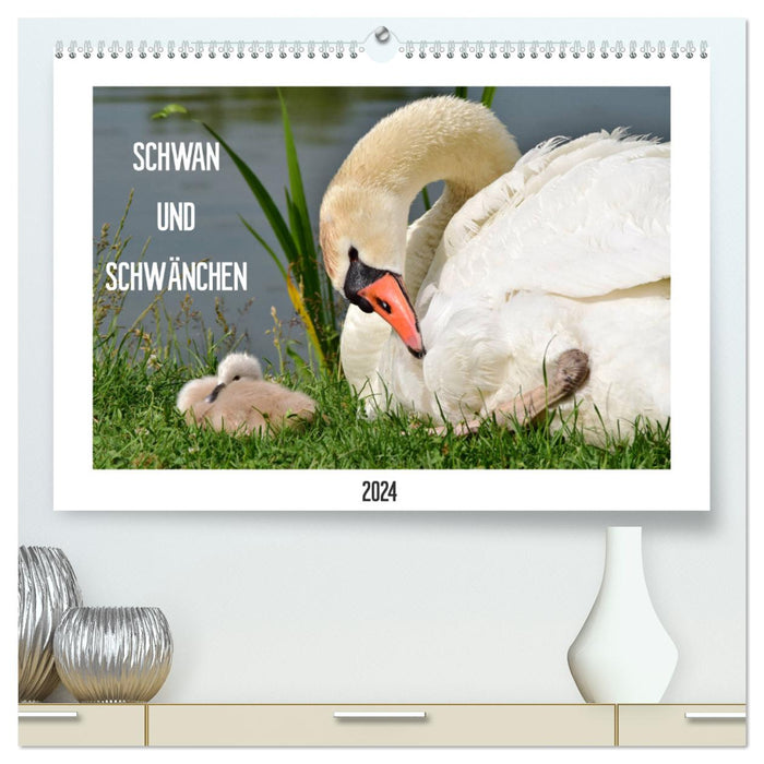 SCHWAN UND SCHWÄNCHEN (CALVENDO Premium Wandkalender 2024)