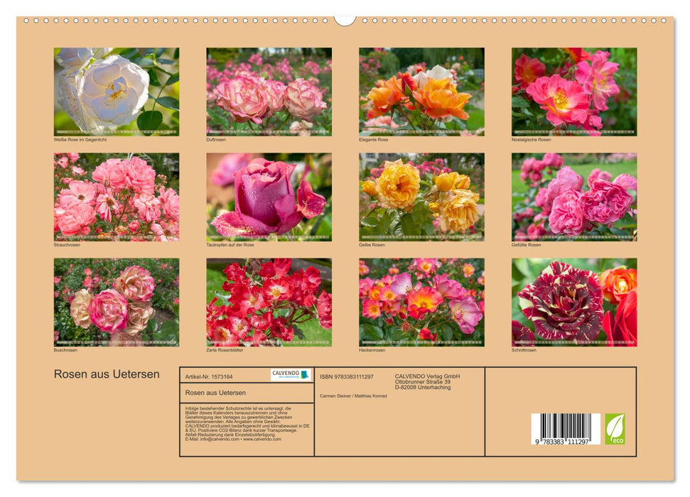Rosen aus Uetersen (CALVENDO Premium Wandkalender 2024)