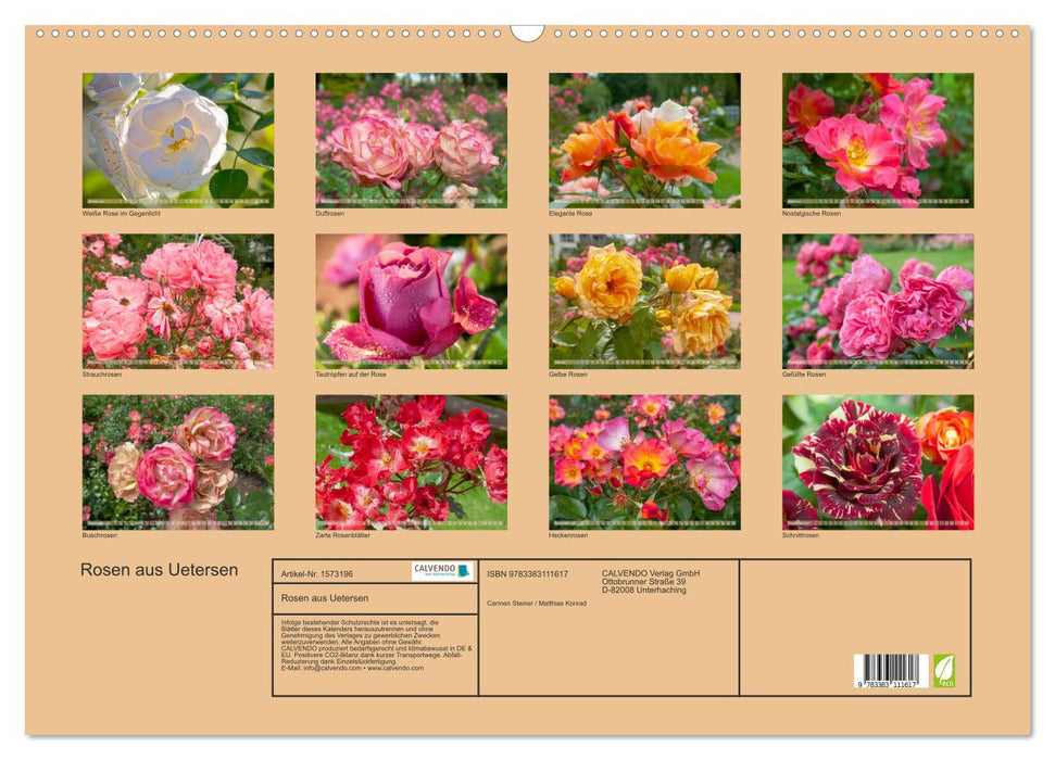 Rosen aus Uetersen (CALVENDO Wandkalender 2024)
