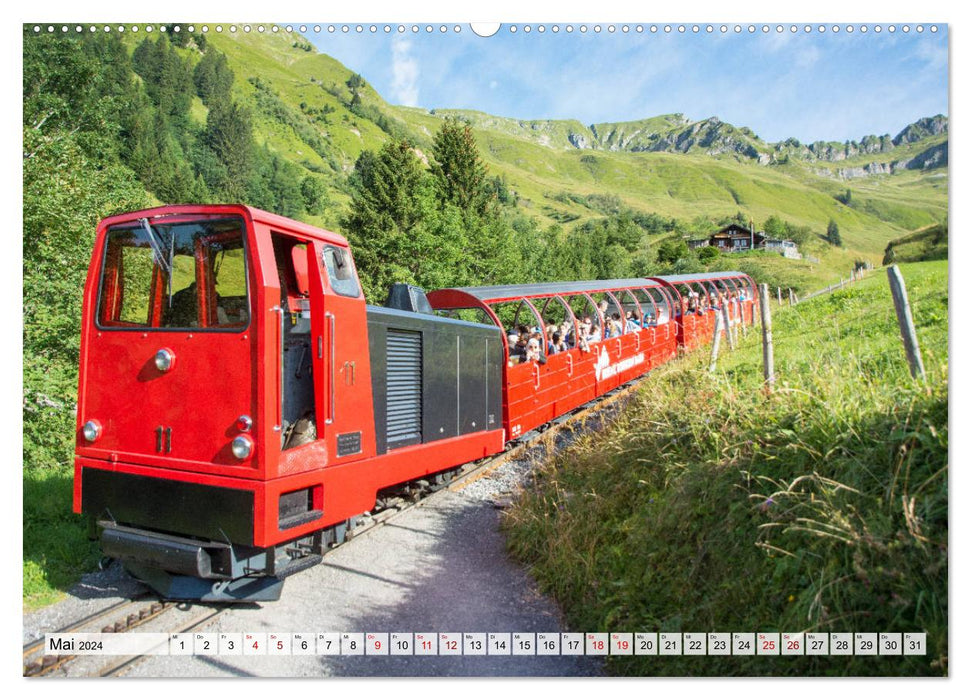 Der Brienzersee - Im Herzen des Berner Oberlandes (CALVENDO Wandkalender 2024)