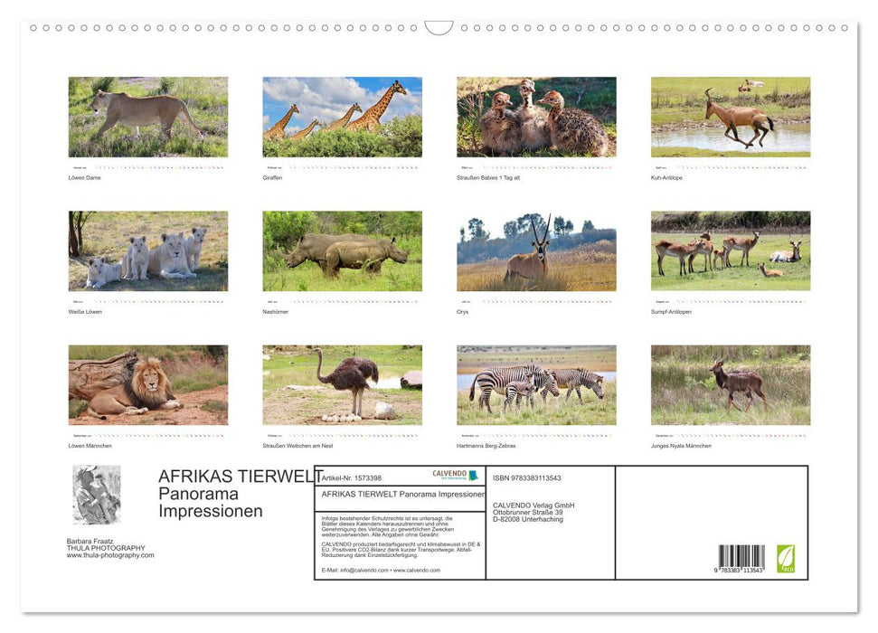 Impressions panoramiques de la faune d'Afrique (calendrier mural CALVENDO 2024) 