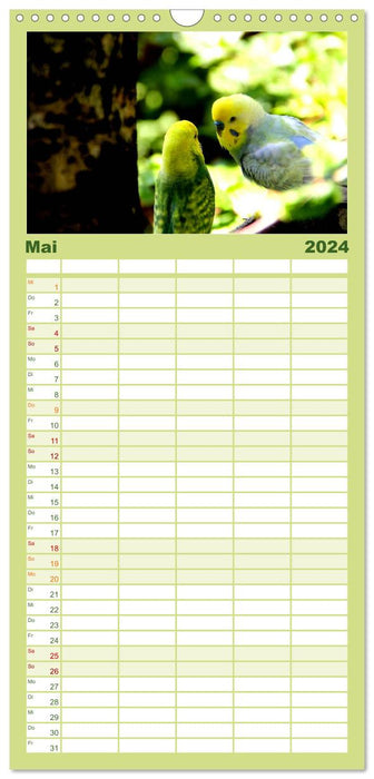 Perruches - Calendrier Nature (Agenda familial CALVENDO 2024) 