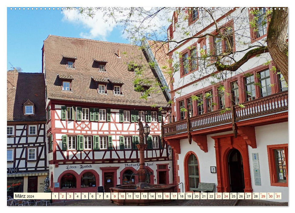 La ville aux deux châteaux de Weinheim est si belle (Calendrier mural CALVENDO Premium 2024) 