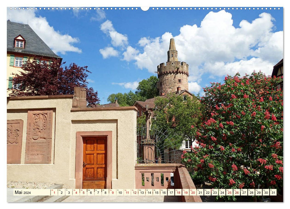 La ville aux deux châteaux de Weinheim est si belle (calendrier mural CALVENDO 2024) 