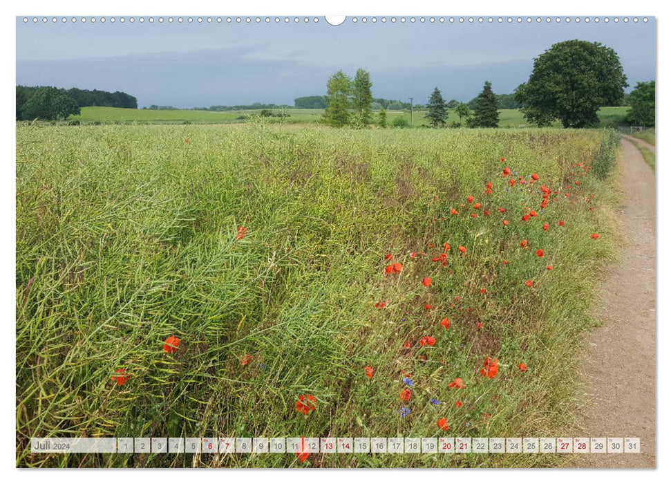 Natur-Paradies Mecklenburgische Schweiz (CALVENDO Premium Wandkalender 2024)