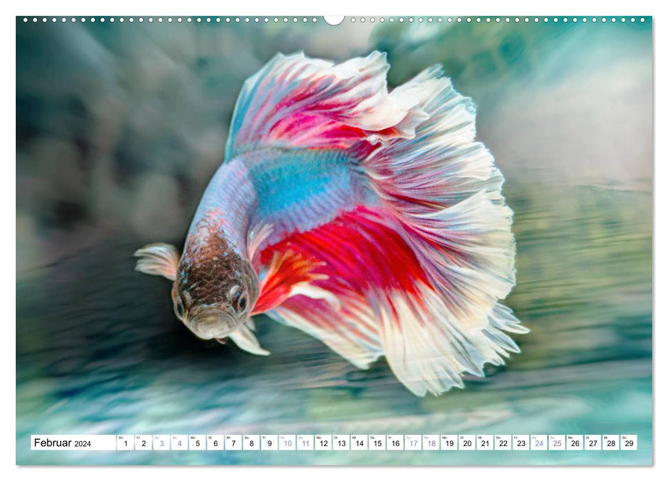 Fischwelt - Artwork (CALVENDO Premium Wandkalender 2024)
