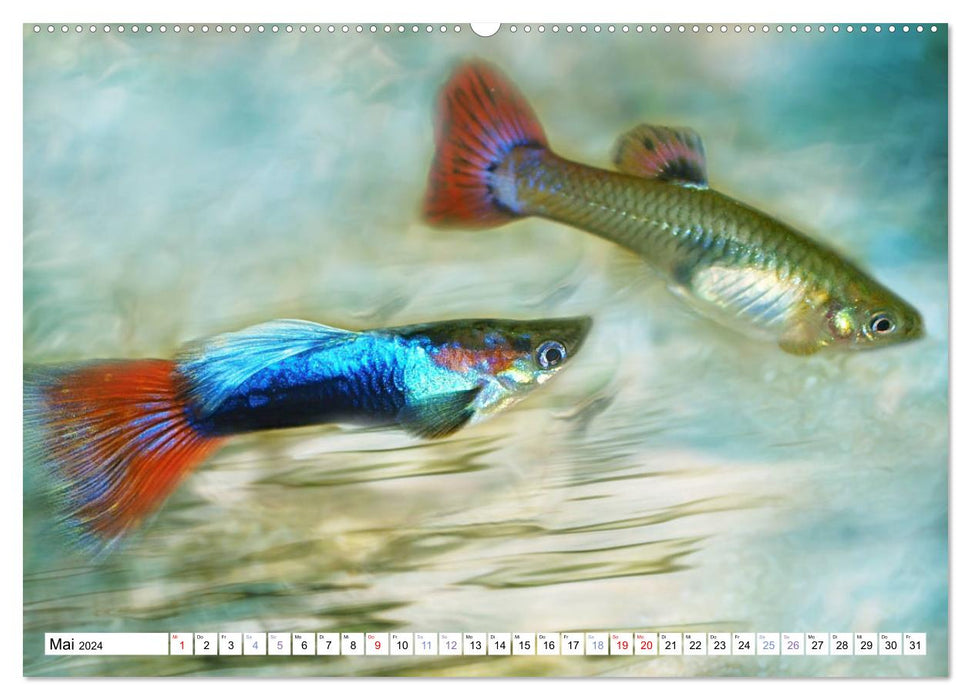 Fischwelt - Artwork (CALVENDO Premium Wandkalender 2024)