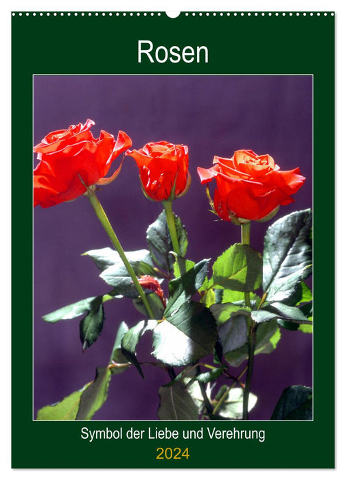 Rosen - Symbol der Liebe und Verehrung (CALVENDO Wandkalender 2024)