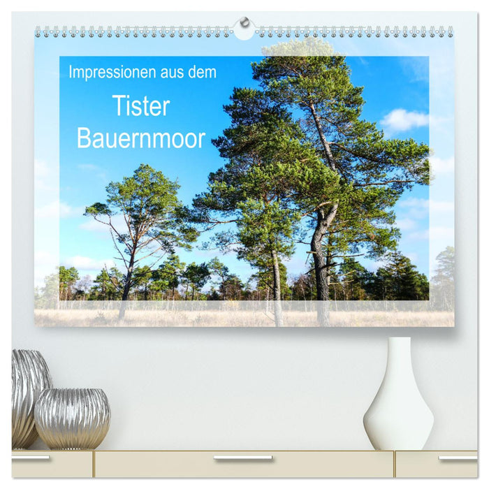Impressionen aus dem Tister Bauernmoor (CALVENDO Premium Wandkalender 2024)