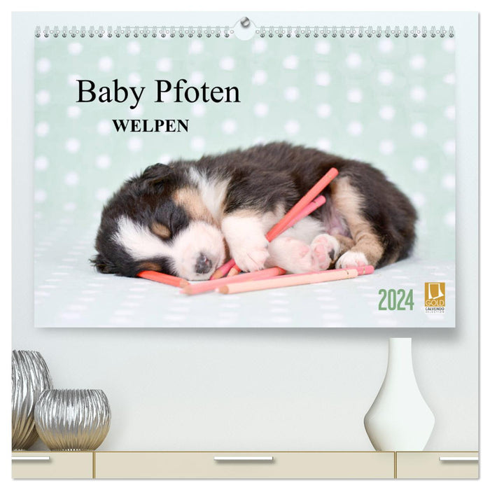 Baby Pfoten (CALVENDO Premium Wandkalender 2024)