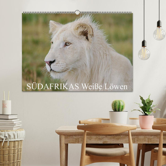Lions blancs d'Afrique du Sud (calendrier mural Calvendo 2024) 