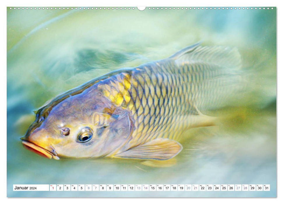 Fish World – Illustration (Calendrier mural CALVENDO 2024) 