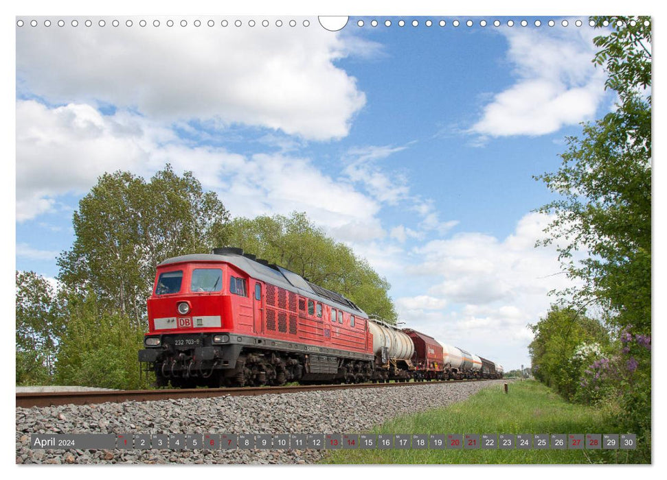 Diesel & Eisen - Bahnbetrieb auf Anhalts Nebenbahn (CALVENDO Wandkalender 2024)