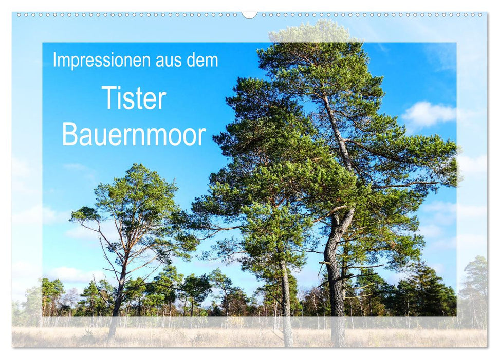 Impressions du Tister Bauernmoor (calendrier mural CALVENDO 2024) 
