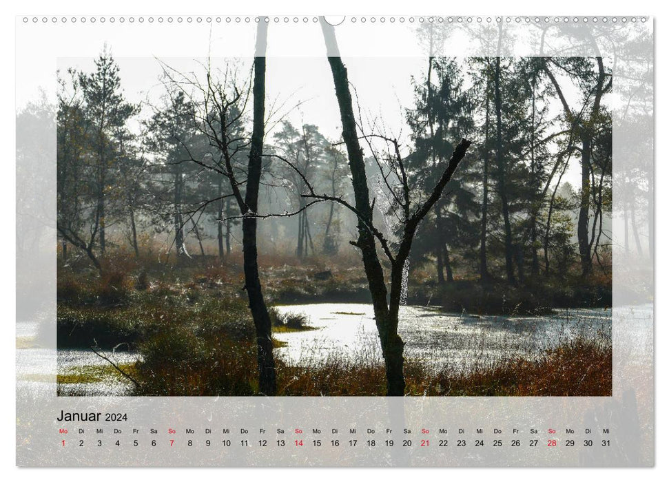 Impressions du Tister Bauernmoor (calendrier mural CALVENDO 2024) 