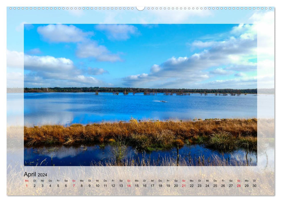 Impressionen aus dem Tister Bauernmoor (CALVENDO Wandkalender 2024)