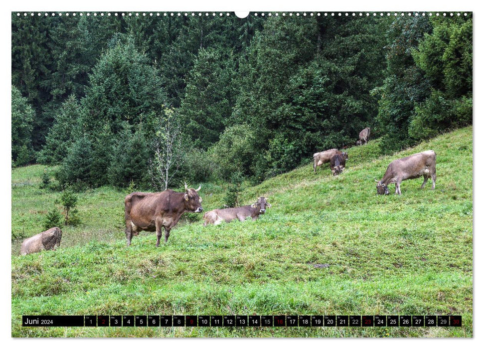 Allgäu - nature pure (Calendrier mural CALVENDO Premium 2024) 