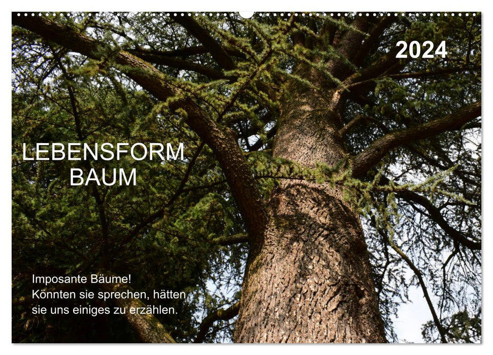 Arbre forme de vie (Calendrier mural CALVENDO 2024) 