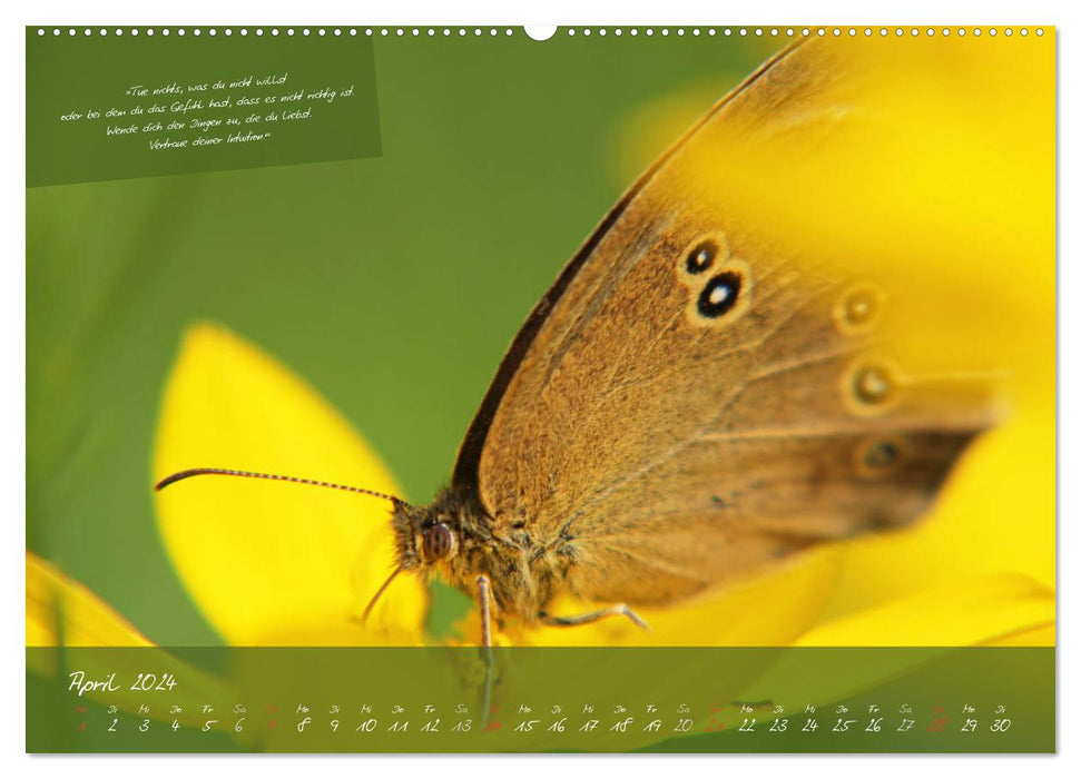 Ein weiser Freund - Kalender (CALVENDO Premium Wandkalender 2024)