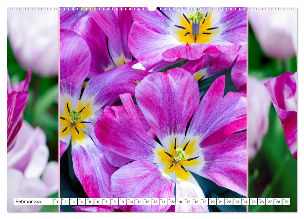 Tulpen - kunterbunte Collagen (CALVENDO Premium Wandkalender 2024)