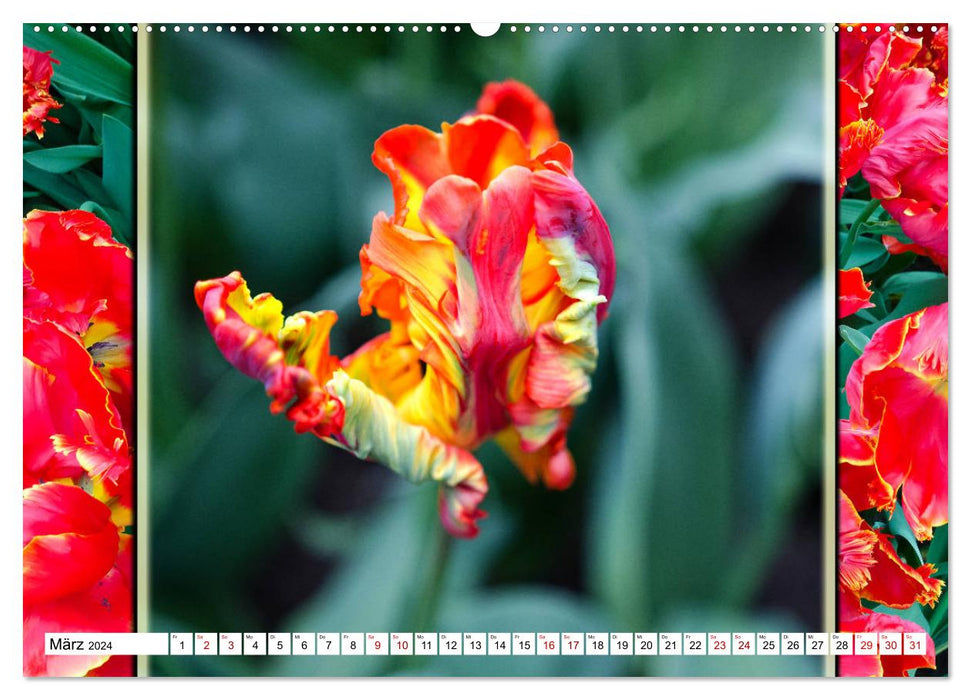 Tulipes - collages colorés (Calendrier mural CALVENDO Premium 2024) 