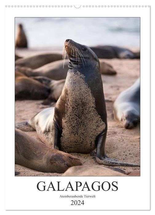 Galapagos – Faune à couper le souffle (Calendrier mural CALVENDO 2024) 