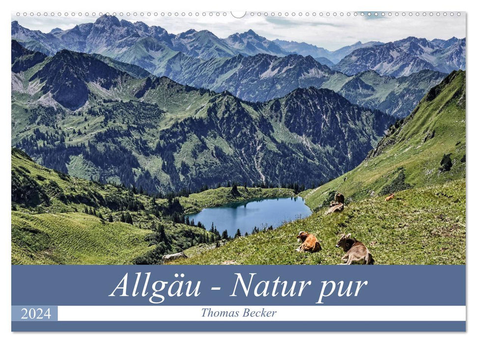Allgäu - nature pure (calendrier mural CALVENDO 2024) 