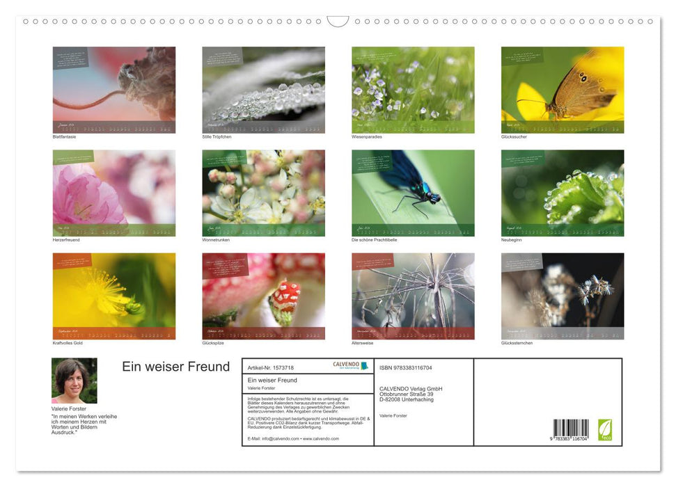 Ein weiser Freund - Kalender (CALVENDO Wandkalender 2024)