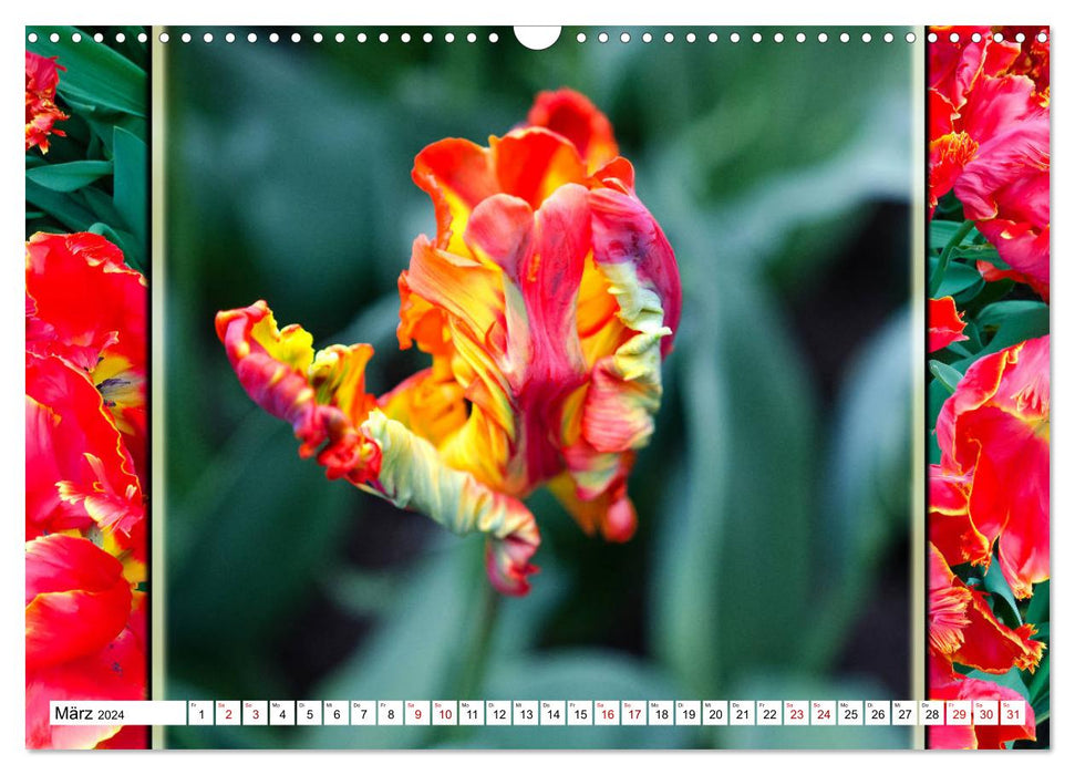 Tulpen - kunterbunte Collagen (CALVENDO Wandkalender 2024)