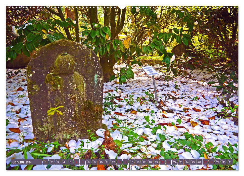 Japanischer Garten Leverkusen (CALVENDO Wandkalender 2024)