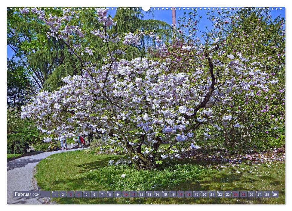 Jardin japonais Leverkusen (Calendrier mural CALVENDO 2024) 