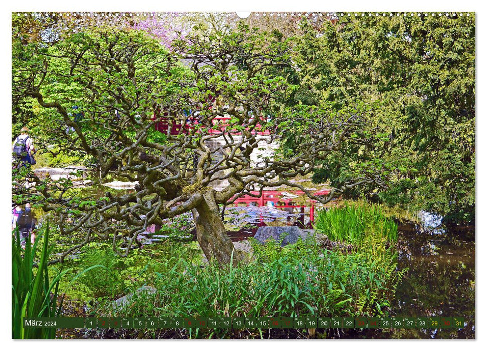 Jardin japonais Leverkusen (Calendrier mural CALVENDO 2024) 