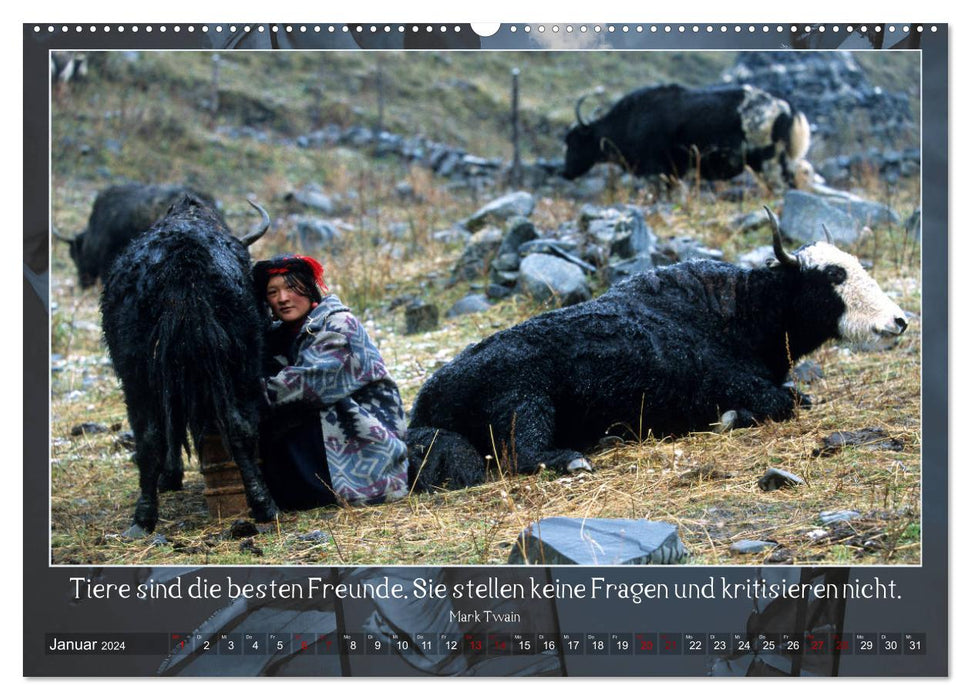 Facettenreiches Tibet (CALVENDO Wandkalender 2024)
