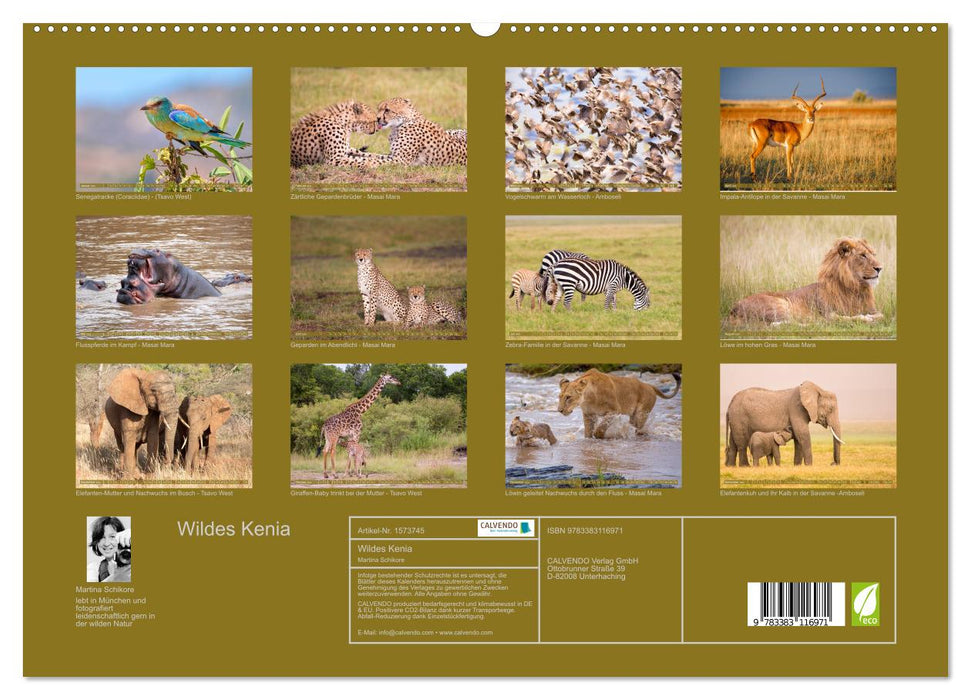 Wildes Kenia (CALVENDO Premium Wandkalender 2024)