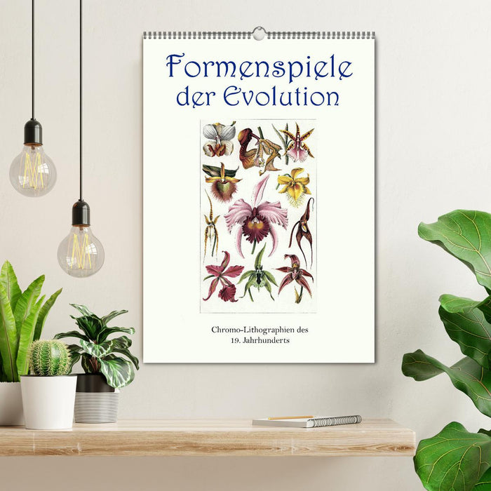 Formenspiele der Evolution. Chromolithographien des 19. Jahrhunderts (CALVENDO Wandkalender 2024)