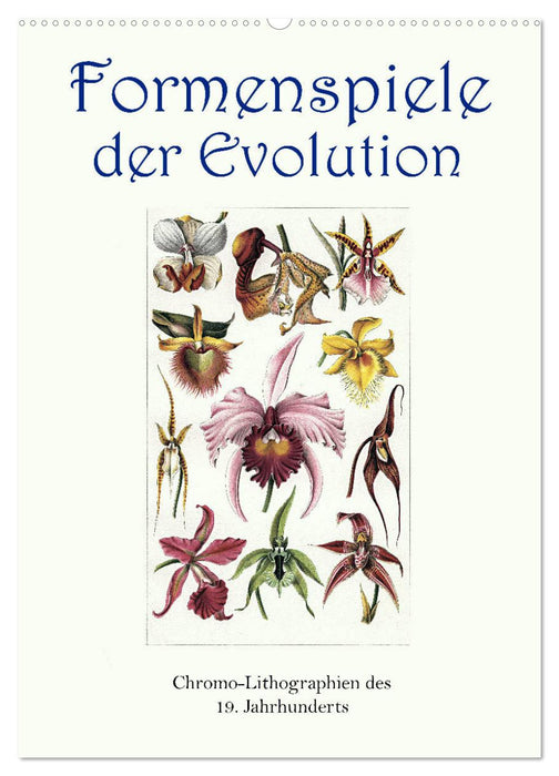 Formenspiele der Evolution. Chromolithographien des 19. Jahrhunderts (CALVENDO Wandkalender 2024)