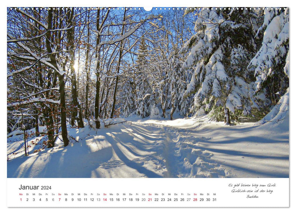 Chemins tout au long de l'année - des citations vous accompagnent sur des chemins romantiques et magnifiques (calendrier mural CALVENDO 2024) 