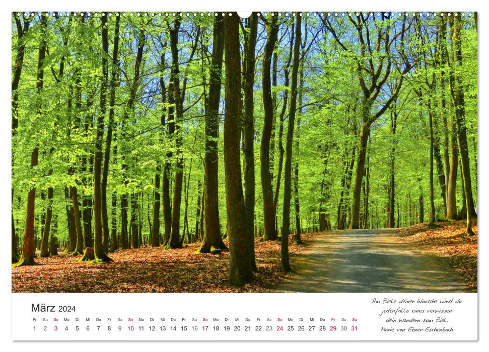 Chemins tout au long de l'année - des citations vous accompagnent sur des chemins romantiques et magnifiques (calendrier mural CALVENDO 2024) 