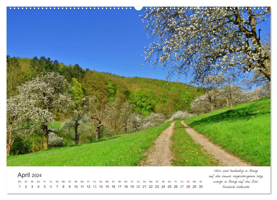 Chemins tout au long de l'année - des citations vous accompagnent sur des chemins romantiques et magnifiques (calendrier mural CALVENDO 2024) 