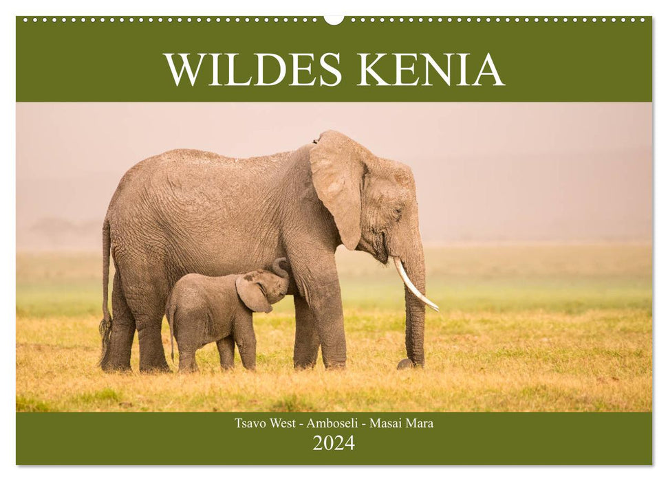 Wild Kenya (CALVENDO wall calendar 2024) 