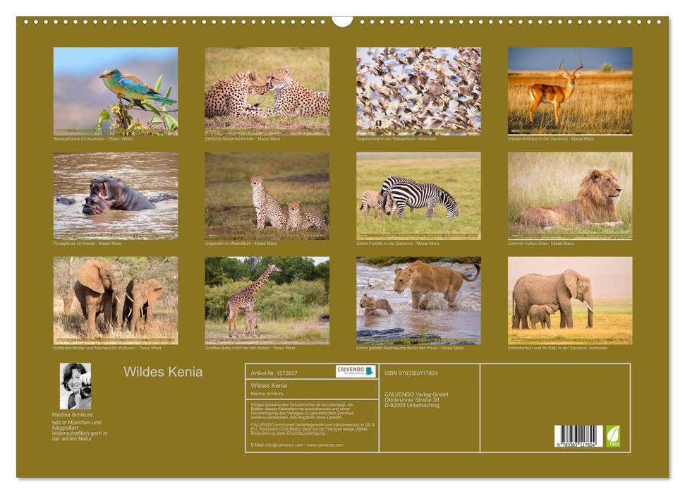 Kenya sauvage (calendrier mural CALVENDO 2024) 