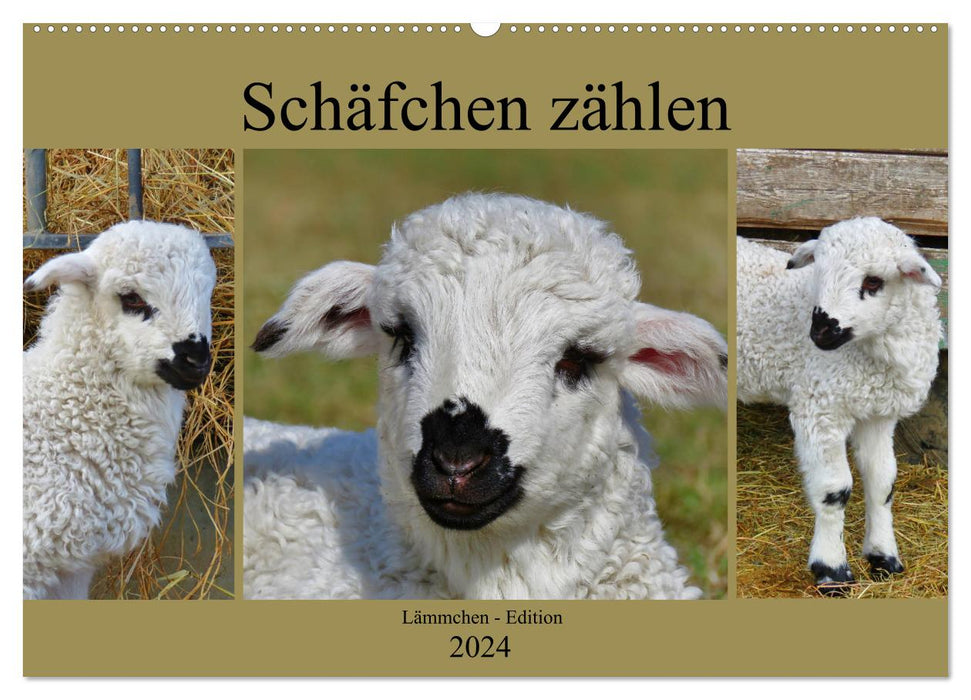 Schäfchen zählen - Lämmchen-Edition (CALVENDO Wandkalender 2024)